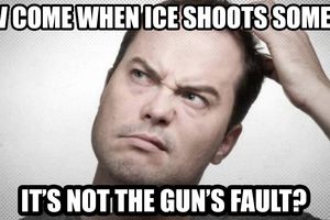 2026 1 29 ice shooting 2a guns fault