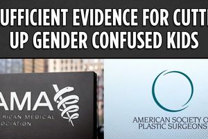 2026 2 6 ama asps gender medical2