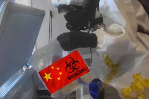 2026 2 10 vegas biolab