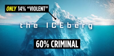 2026 2 11 iceberg immigration violent