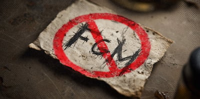 2026 2 25 no fgm