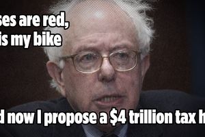 sanders