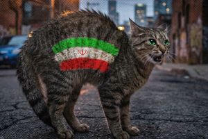 2026 3 13 iran cat cornered