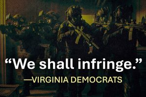 2026 3 16 virginia dems shall infringe