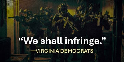2026 3 16 virginia dems shall infringe