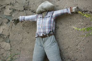 2026 3 17 strawman