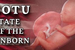 2026 4 10 state of the unborn