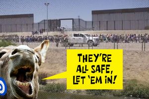 2026 4 28 asylum seekers 2