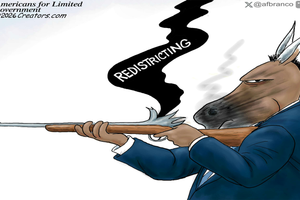 redistricting