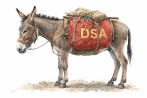 2026 6 18 donkey dsa democrats