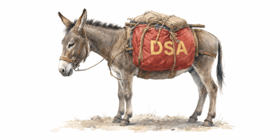 2026 6 18 donkey dsa democrats