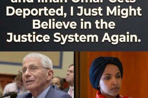 meme omar fauci justice