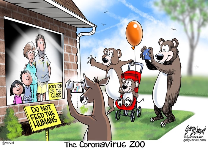 varvel