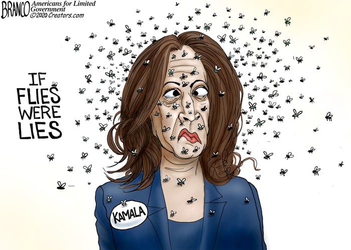 04 Flies and Lies DT 1080
