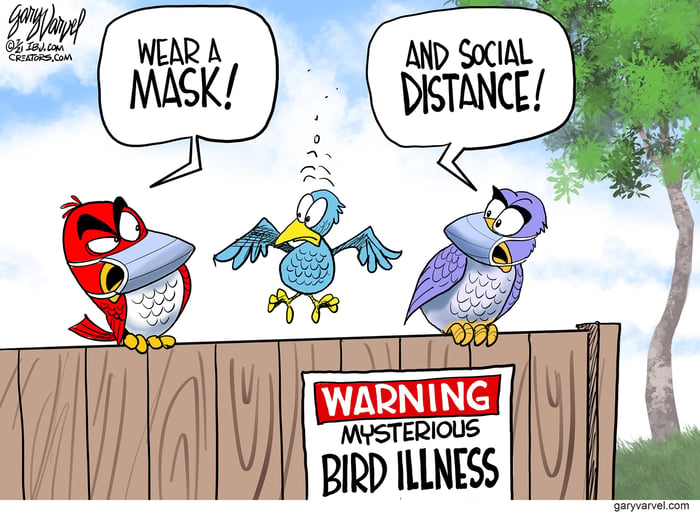 varvel
