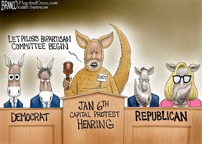 Branco 7 29