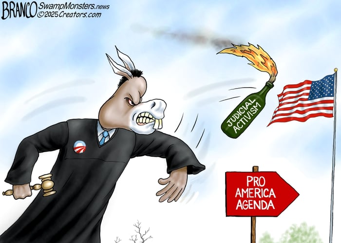06 JudgeActivist SM 1080