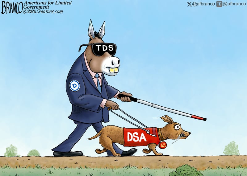 A.F. Branco — September 8, 2026