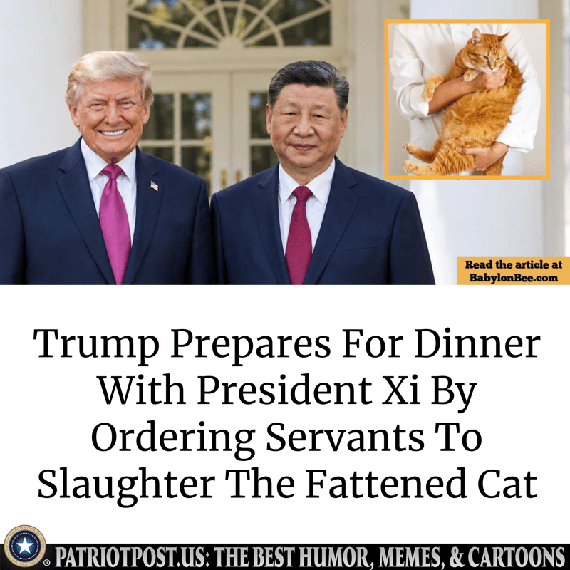 The Fattened Cat