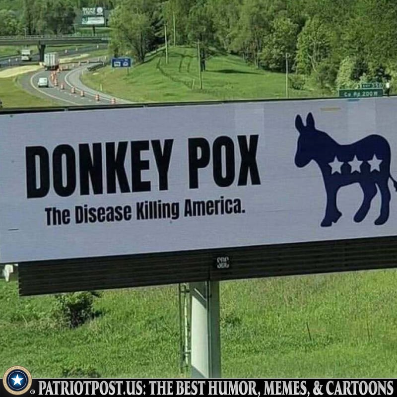 Donkey Pox